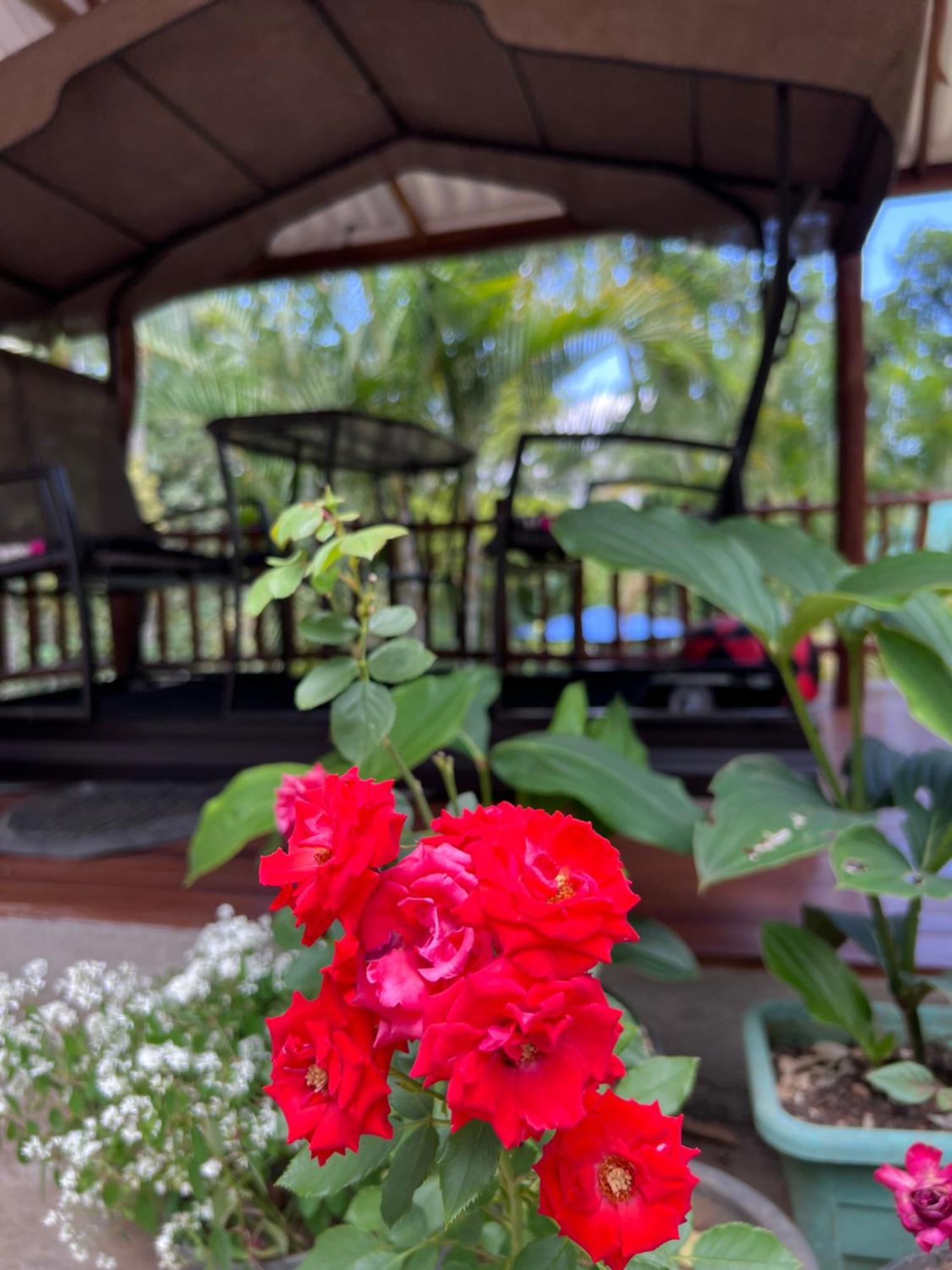 Eeshani Guest Inn Ella Kültér fotó